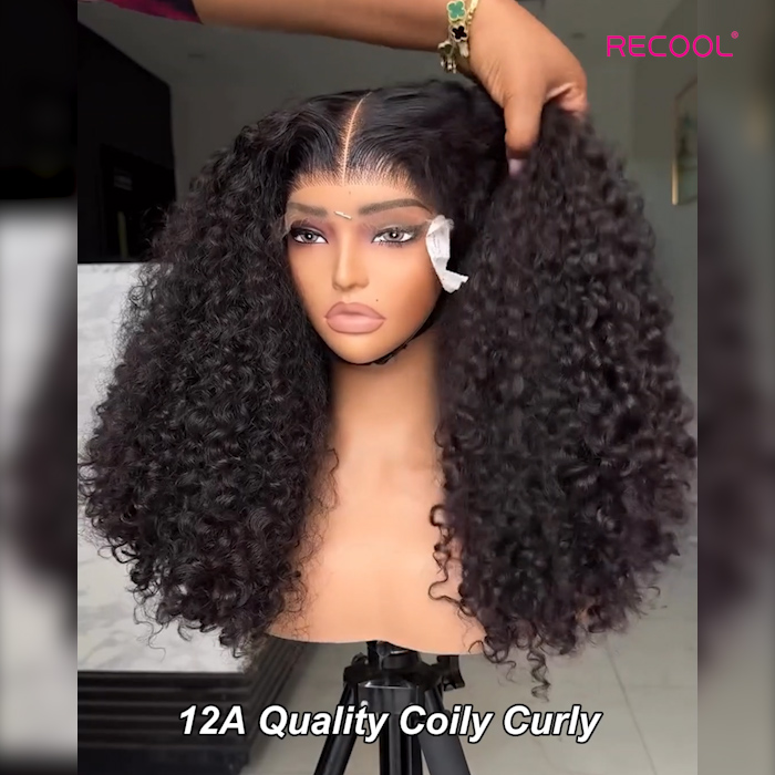 curly human hair wig (6)